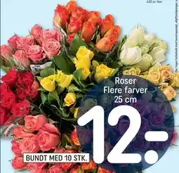 REMA 1000 Roser Flere farver 25 cm, DKK 12 tilbud