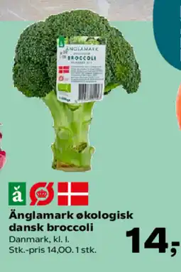 Kvickly Änglamark økologisk dansk broccoli tilbud
