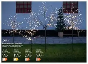 Lystræer med blomster