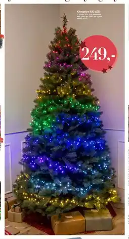 Harald Nyborg Klyngelys 800 LED, DKK 249 tilbud