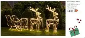 Harald Nyborg Pro rensdyr med kane, DKK 1299 tilbud