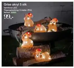 Harald Nyborg Grise akryl 5 stk, DKK 99 tilbud