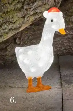 Harald Nyborg Julegås, DKK 99 tilbud