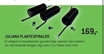 Juliana plantespiraler