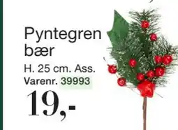 Harald Nyborg Pyntegren bær, DKK 19 tilbud