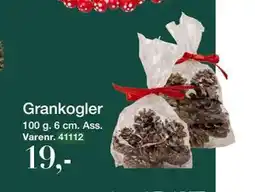 Harald Nyborg Grankogler, DKK 19 tilbud