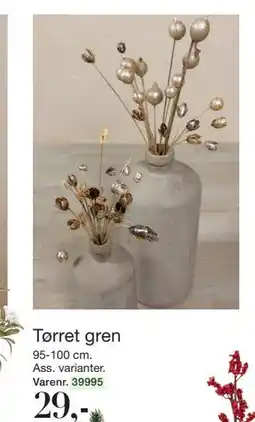 Harald Nyborg Tørret gren, DKK 29 tilbud