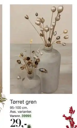 Harald Nyborg Tørret gren, DKK 29 tilbud