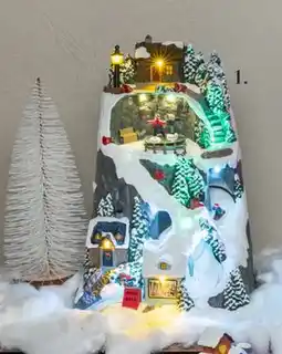 Harald Nyborg Skibakke, DKK 199 tilbud