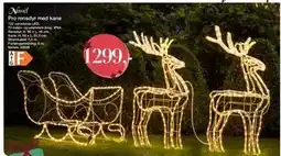 Harald Nyborg Pro rensdyr med kane, DKK 1299 tilbud