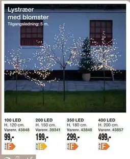 Harald Nyborg Lystræer med blomster tilbud