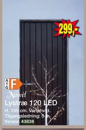 Harald Nyborg Lystræ 120 LED, DKK 299 tilbud