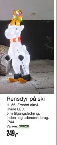 Harald Nyborg Rensdyr på ski, DKK 249 tilbud