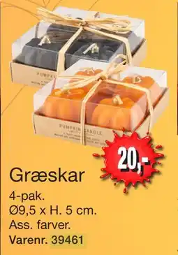 Harald Nyborg Græskar, DKK 20 tilbud