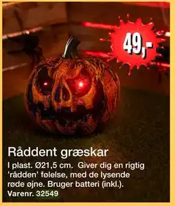 Harald Nyborg Råddent græskar, DKK 49 tilbud