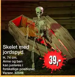 Harald Nyborg Skelet med jordspyd, DKK 39 tilbud