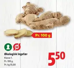 Lidl Økologisk ingefær, DKK 5.5 tilbud