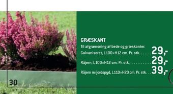 XL-BYG Græskant tilbud