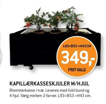XL-BYG Kapillærkasseskjuler m/hjul tilbud