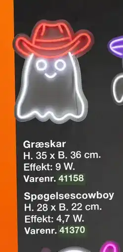 Harald Nyborg Græskar, DKK 99 tilbud