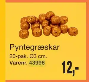 Harald Nyborg Pyntegræskar, DKK 12 tilbud
