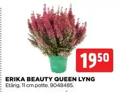 jem & fix ERIKA BEAUTY QUEEN LYNG, DKK 19.5 tilbud