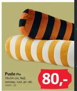 BigDollar Pude Pia tilbud