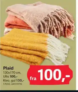 BigDollar Plaid tilbud