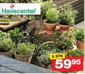 Bauhaus Italienske krydderurter tilbud