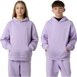 Sport 24 The North Face Essential Oversized Hættetrøje Børn tilbud