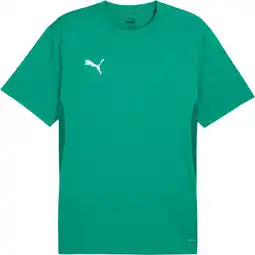 Sport 24 PUMA teamGOAL Trænings T-shirt Herre tilbud