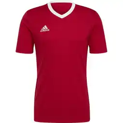 Sport 24 adidas Entrada 22 Trænings T-shirt tilbud