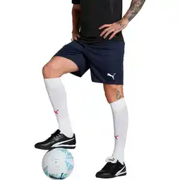 Sport 24 PUMA teamGOAL Træningsshorts Herre tilbud