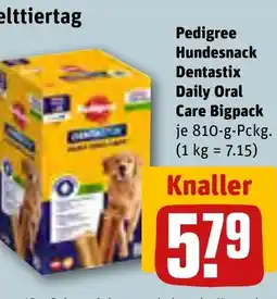 REWE DE Pedigree Hundesnack Dentastix Daily Oral Care Bigpack tilbud