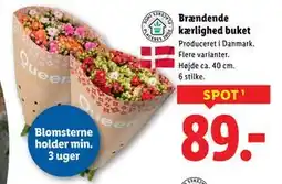 Lidl Brændende kærlighed buket, DKK 89 tilbud