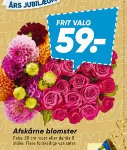Bilka Afskårne blomster, DKK 59 tilbud