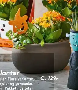 Bilka Halloween dekoration, DKK 129 tilbud