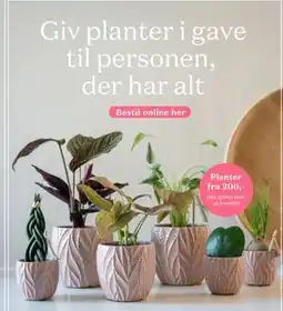 Bilka Planter tilbud