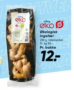 Bilka Økologisk ingefær, DKK 12 tilbud