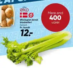 Bilka Økologisk dansk bladselleri, DKK 12 tilbud