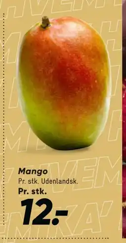 Bilka Mango, DKK 12 tilbud