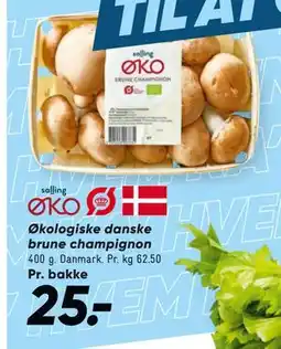 Bilka Økologiske danske brune champignon, DKK 25 tilbud