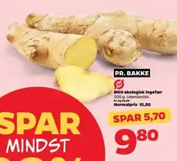 Netto ØGO økologisk ingefær, DKK 9.8 tilbud