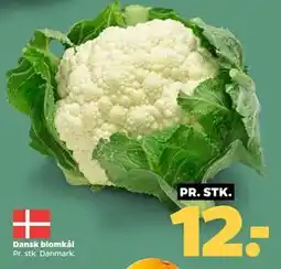 Netto Dansk blomkål, DKK 12 tilbud