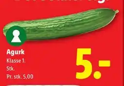Lidl Agurk, DKK 5 tilbud