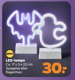 Netto LED-lampe, DKK 30 tilbud