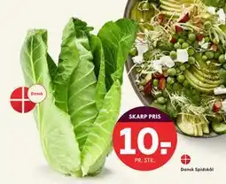 SPAR Dansk Spidskål, DKK 10 tilbud