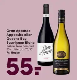 SPAR Gran Appasso Appassite eller Queens Bay Sauvignon Blanc, DKK 55 tilbud