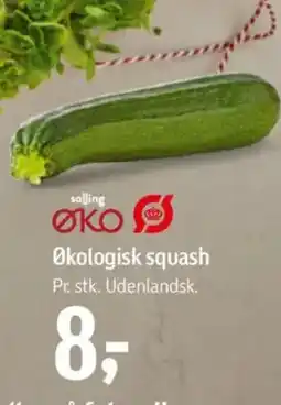 Føtex Økologisk squash tilbud