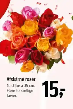 Føtex Afskårne roser tilbud